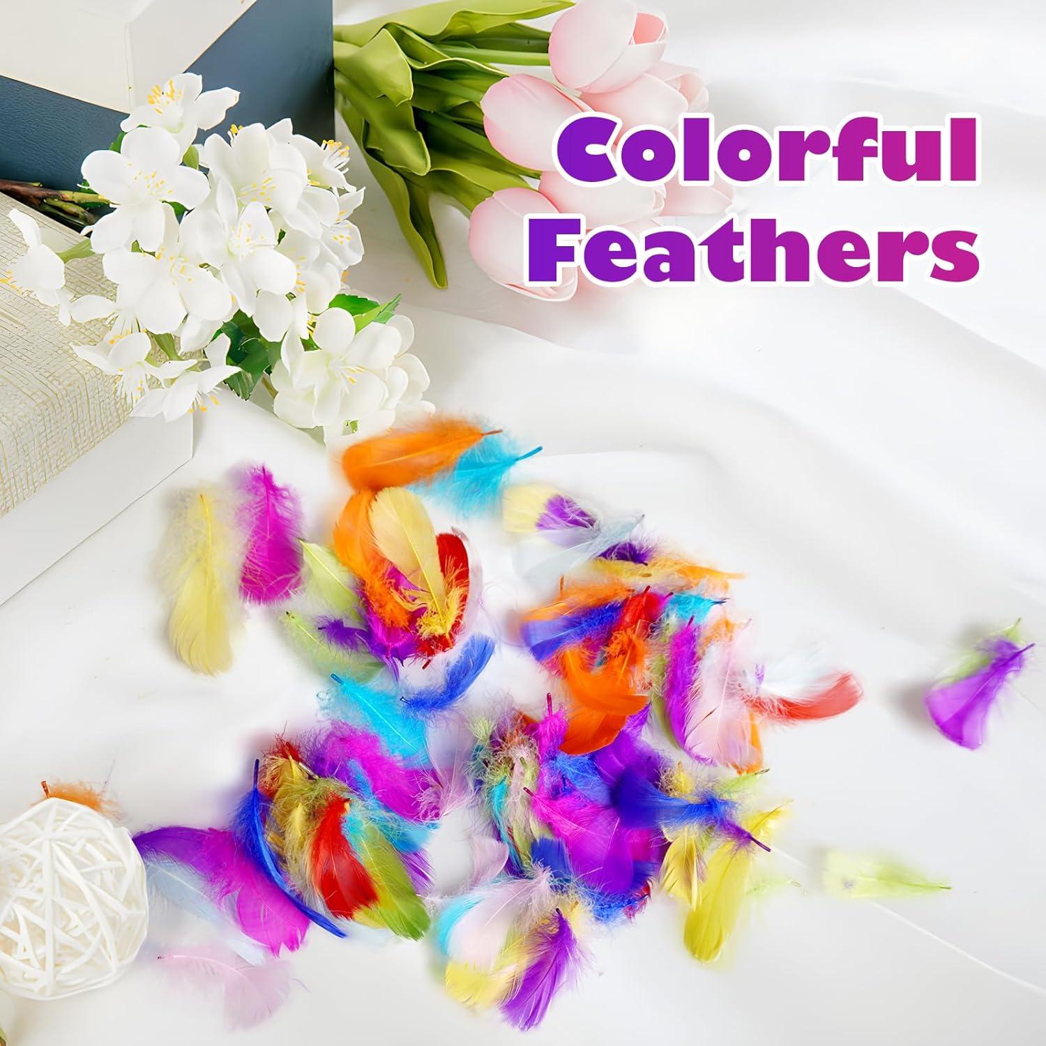 imageCONEHOY 3300 Pcs Craft Feathers Bulk 35 in Colorful Crafts Feathers Rainbow Feather Decoration for Table Centerpiece Wedding Mask Mardi Gras Suppl Carnival Party