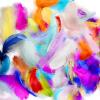 imageCONEHOY 3300 Pcs Craft Feathers Bulk 35 in Colorful Crafts Feathers Rainbow Feather Decoration for Table Centerpiece Wedding Mask Mardi Gras Suppl Carnival Party