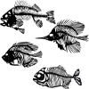 imageCONEHOY 4 Pcs Metal Wall Art Fish Sculpture Nautical Style Art Decor Black Hanging Metal Fish Bone Rustic Wall Decor for Home Living Room Bedroom Bathroom Office Window Indoor Outdoor